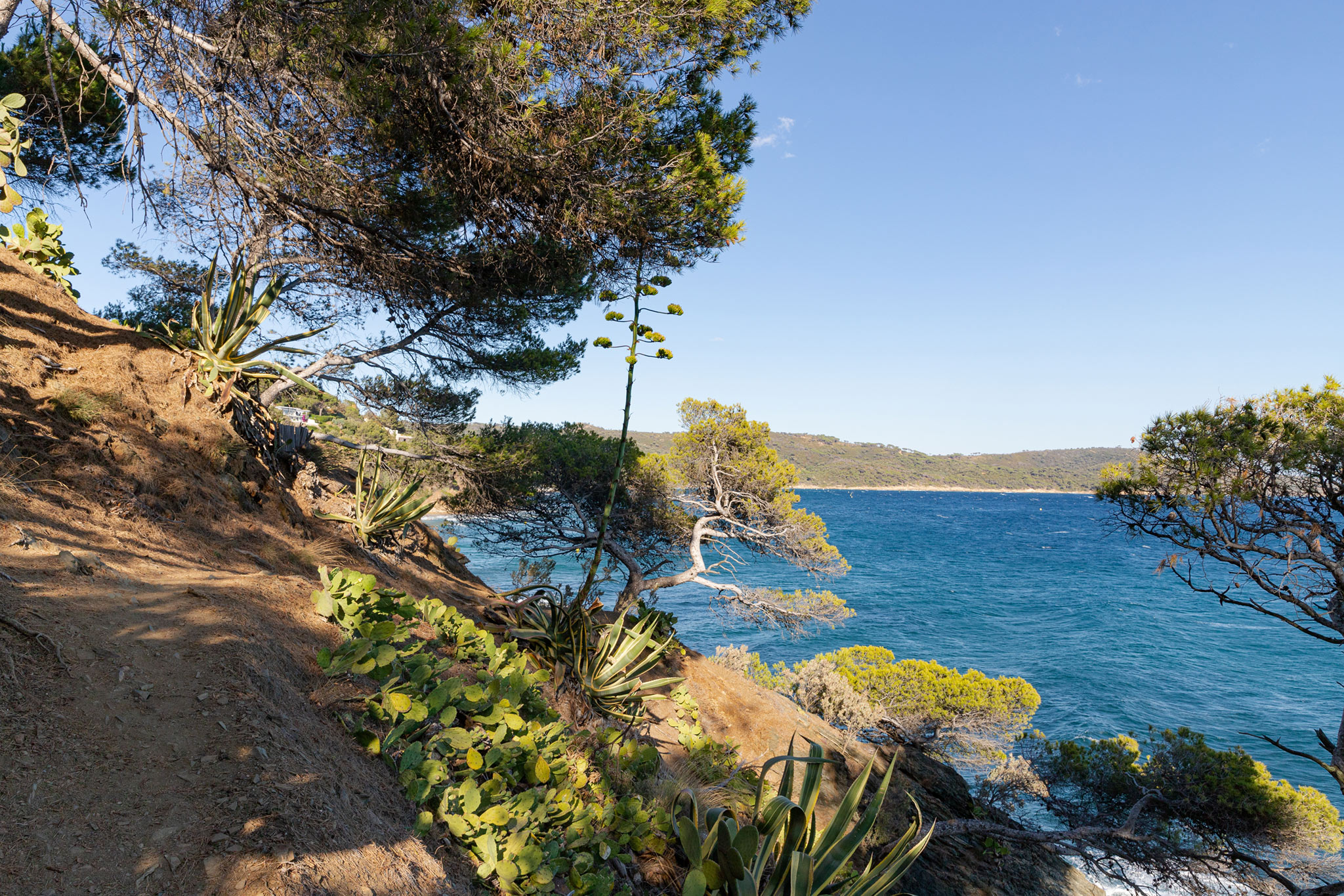 Cavalaire-sur-Mer